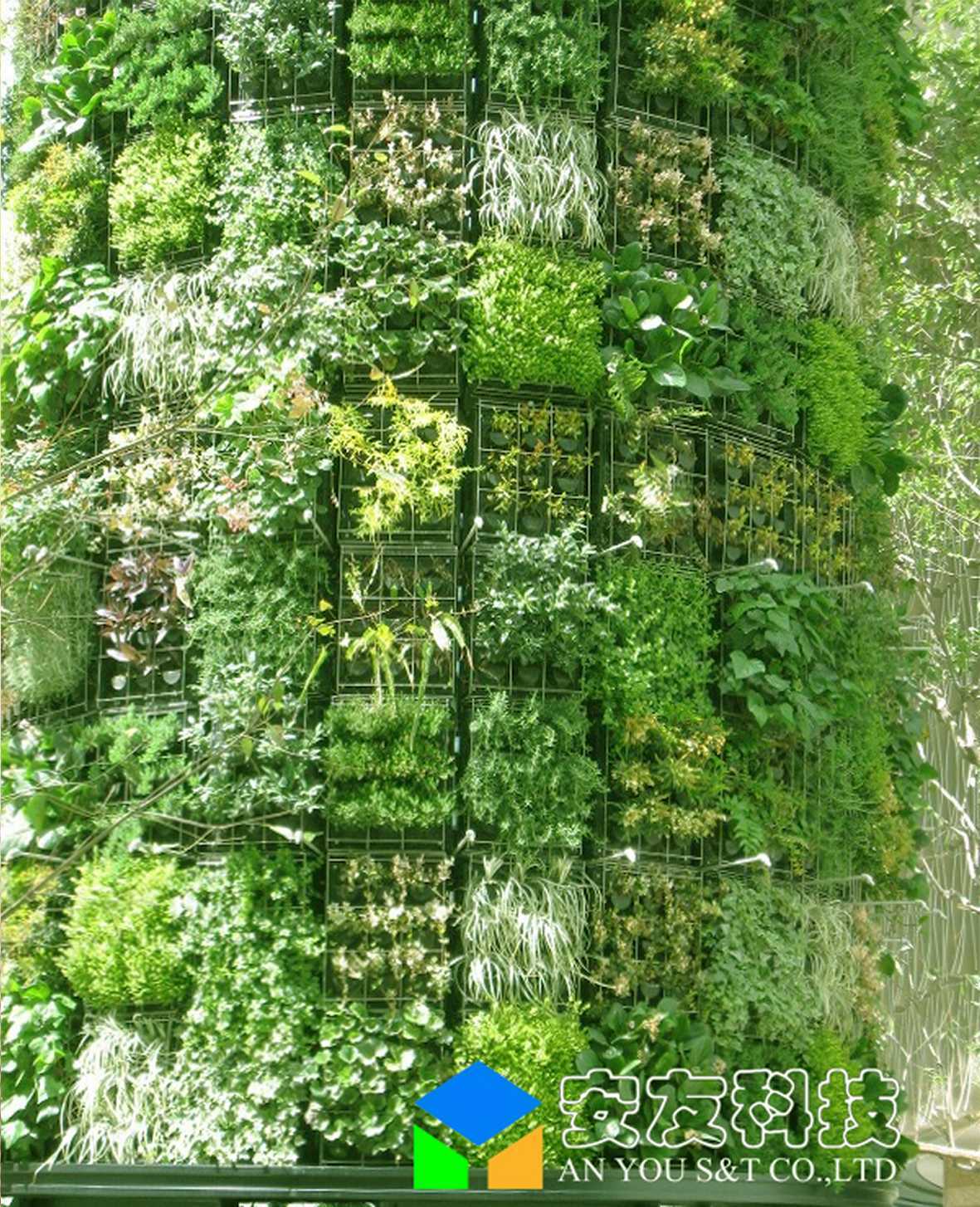 武汉万松园住宅生态墙墙面绿化工程