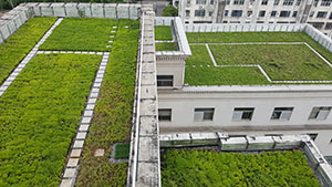 襄阳高新管委会办公楼屋顶绿化项目